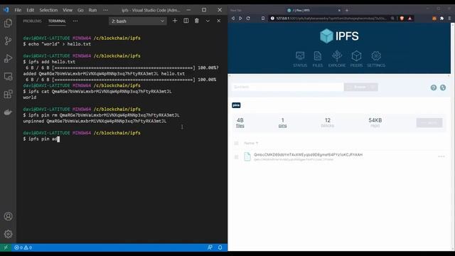 HOW TO PIN AND UNPIN IPFS FILES ON LOCAL NODE смотреть онлайн