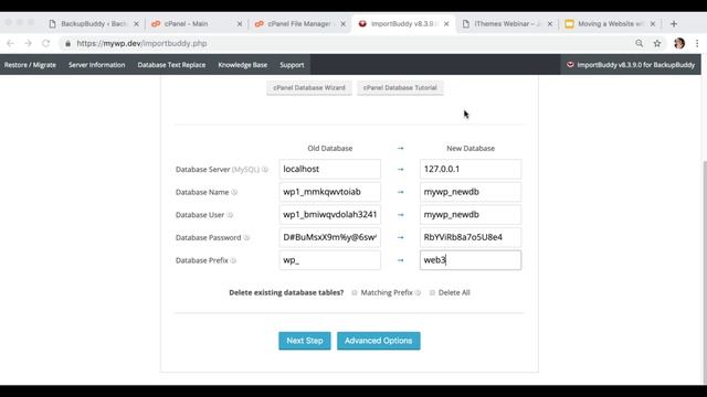 Moving a Website with BackupBuddy Step by Step Rebecca Diamond смотреть онлайн