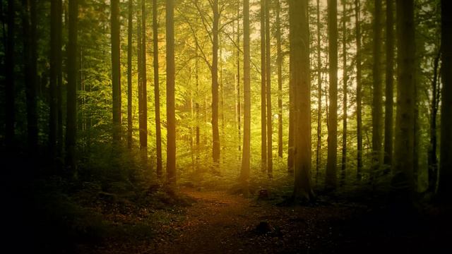 Mind Over Mirrors - Mountain Convalescence смотреть онлайн