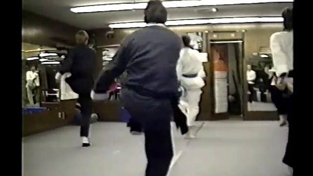 Kung Fu San Soo Master Eric K. Hermansen video FIGHTING TECHNIQUES III clips kungfusansoomaster.com смотреть онлайн