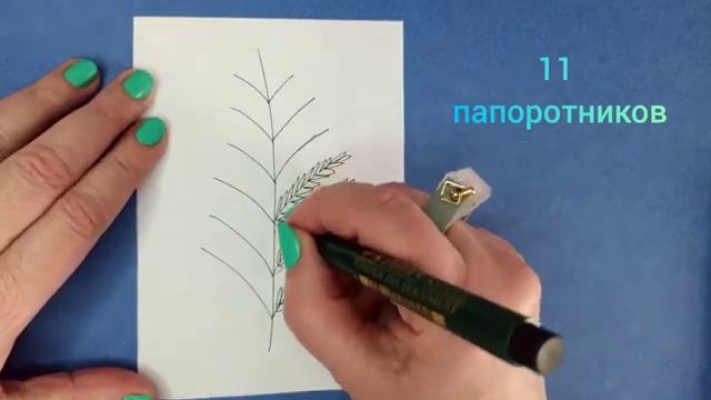 Как нарисовать брашпеном и маркером Папоротники. смотреть онлайн