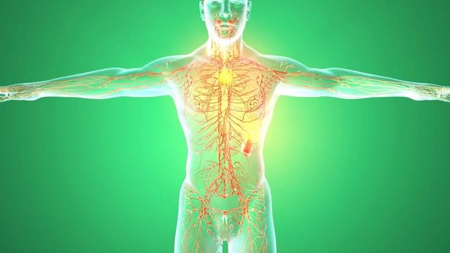 ПИЩЕВОЙ МЕЛ ПОЛЬЗА И ВРЕД смотреть онлайн