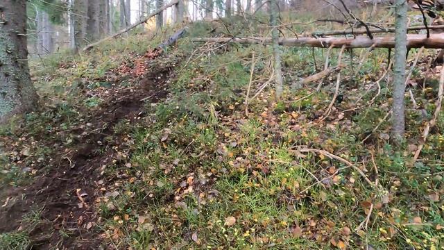 Хард Эндуро гонка грязный Бурундук осень 2022 смотреть онлайн