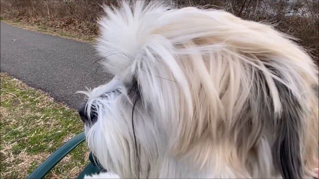 Гуляємо з Луїзою 21 лютого 2023 смотреть онлайн