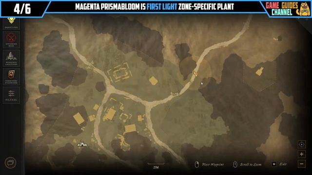 New World How to Get Magenta Pigment (Magenta Prismabloom Locations) смотреть онлайн