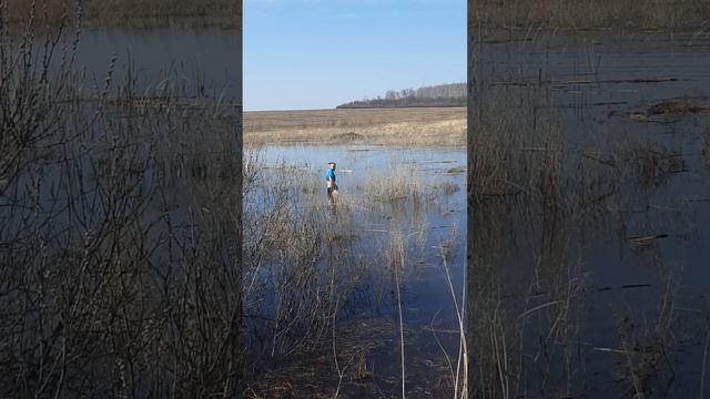 Кто-то должен делать это на охоте смотреть онлайн