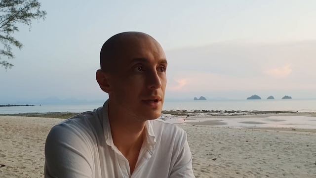 Дизайн Человека 3 и 50 ворота. 6 линии Даниил Трофимов. Human Design. Транзиты смотреть онлайн