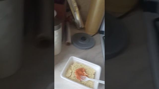 ГОТОВИМ ДАШУ (ДОШИРАК) смотреть онлайн