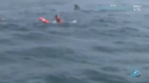 МЕГАЛОДОН ЖИВ?! НОВЫЕ ФАКТЫ.