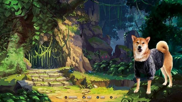 A Summer with the Shiba Inu Lets Play in 4K Easy Completion смотреть онлайн
