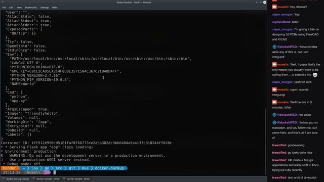 docker-backup Live Hacking in Go #02 смотреть онлайн