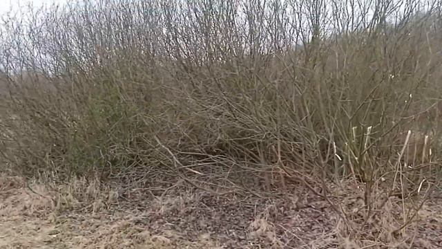 кролиководство - без прививок - кролик - жизнь в деревне - дом в деревне смотреть онлайн