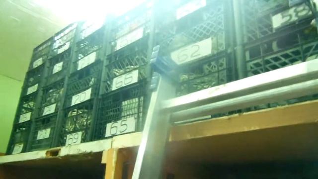 Советы для микробизнеса. Склад и инструменты. смотреть онлайн