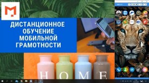 Вебинар по теме «Мобильная грамотность - смартфоны с нуля». Часть 1.