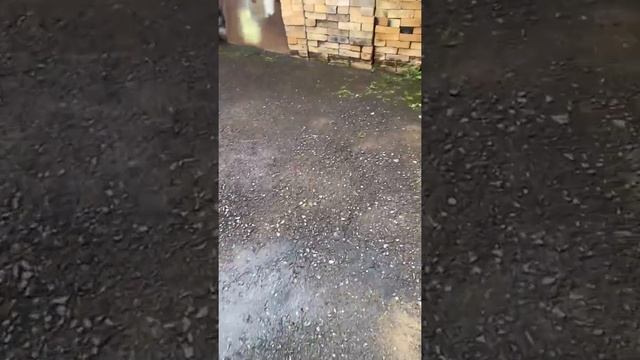 Дом с яркими решениями