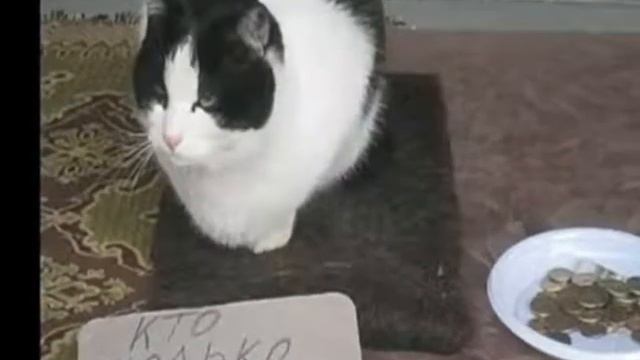 НОВОЕ ИНТРО+В ВИДЕО ЕСТЬ ПАСХАЛКА КТО НАЙДЕТ ПЕРВЫМ ТОМУ ПОСТАВЛЮ ЛАЙКИ НА ВСЕ ВИДЕО И ПОДПИШУСЬ смотреть онлайн