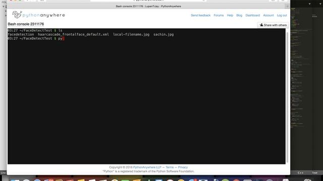 face detection API смотреть онлайн