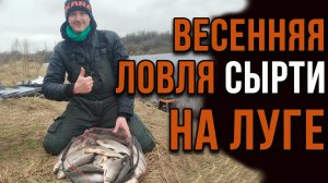 Весенняя ловля сырти на Луге.