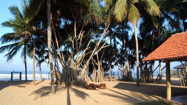 Hibiscus Beach Hotel, Wadduwa, Sri Lanka смотреть онлайн