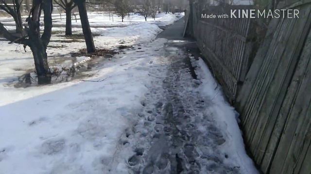 Зима никак не отступает в Ростовской области. Идёт грязный снег в марте. смотреть онлайн