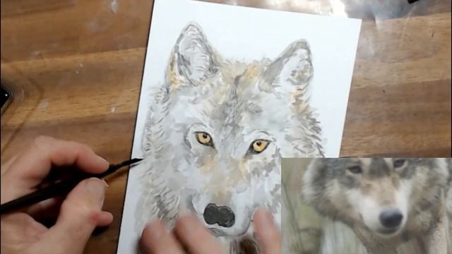 Animal Spirit/ Wolf / Animal Oracle Series 7/ #ink #watercolor #art #howto смотреть онлайн