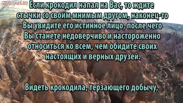 К чему снится Крокодил сонник, толкование сна смотреть онлайн