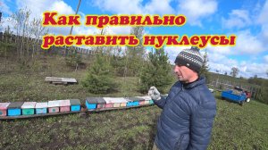 КАК МЫ ВЫСТАВЛЯЕМ СВОИ НУКЛЕУСЫ НА ОБЛЁТНИК.