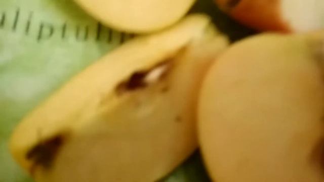 Лабиринты Мыслей