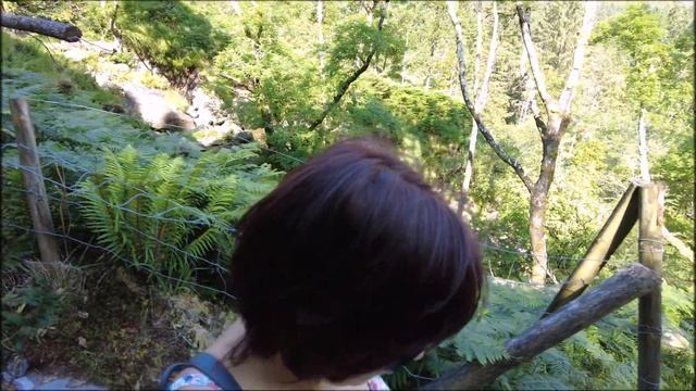 Национальный парк/По горам и по лесу/Овода/Gougane Barra Forest Park/Графство Корк/ Ирландия смотреть онлайн