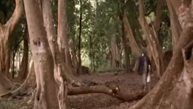 En Algun Lugar De Africa ~ Pelicula Completa Audio Latino