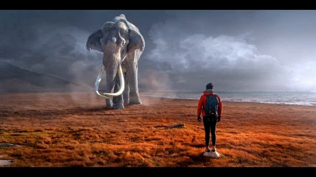 Psychic Lucid Dreams - TRIED & TESTED | ? Binaural Beats 4 Hz & 4.8 Hz | Precognitive Dreams смотреть онлайн