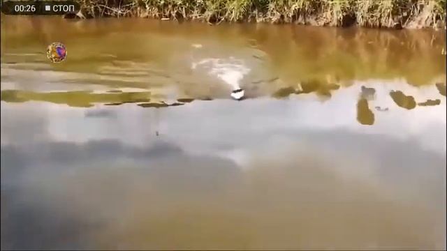 Радиоуправляемый катер вместо удочки смотреть онлайн