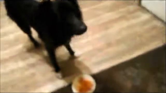 Вырезаем тыкву на Хэллоуин. смотреть онлайн