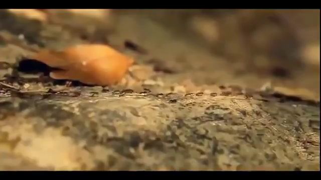 Все зависит от нас самих! смотреть онлайн