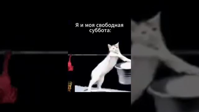 Подкаст для преподавателей "Давай после, сейчас урок" смотреть онлайн