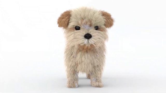 Animated Furry Puppy 3D Model: Download - 3Ds Max смотреть онлайн