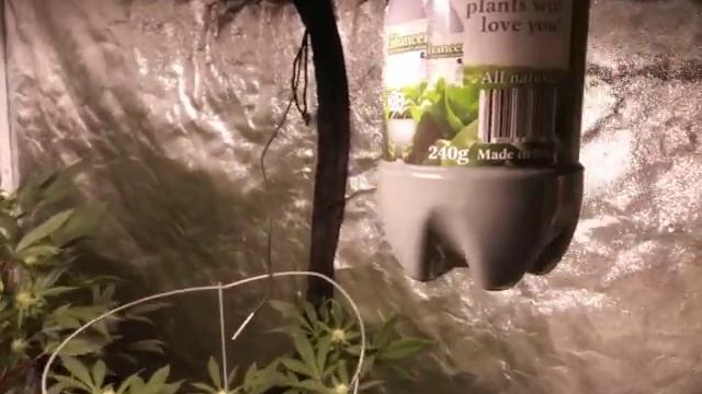 630w D/E CMH multi grow смотреть онлайн