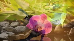 Музыка для Медитации и Занятий Йогой, Расслабляющая музыка для медитации, 1