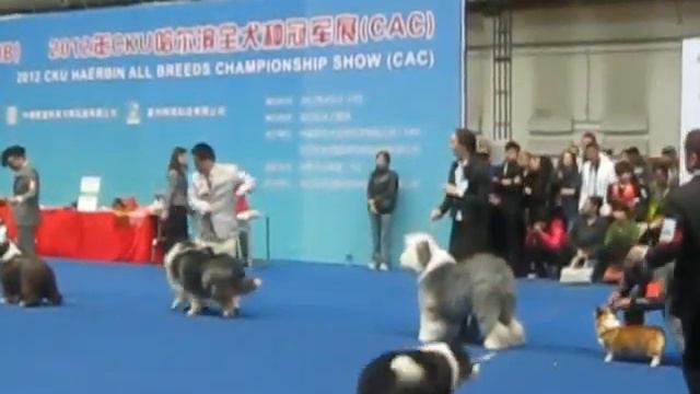 группа сас 1часть смотреть онлайн