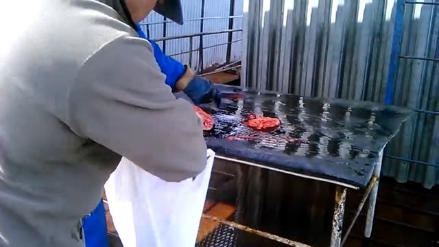 как разделывают форель смотреть онлайн