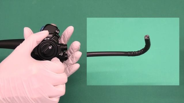 CSL: Grundlagen der Endoskopie смотреть онлайн