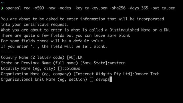 Exploring Mutual TLS (mTLS) : How to Create Certificate Authority(CA) Certificate using OpenSSL смотреть онлайн
