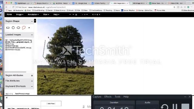[Giscle_Meeting] How to use VGG Image annotation tool смотреть онлайн