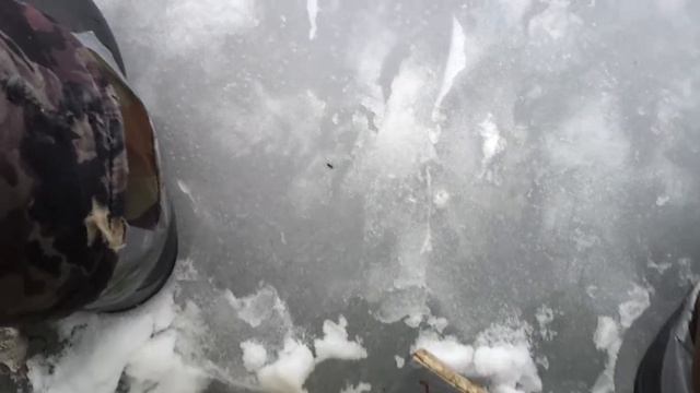 Паук зимой смотреть онлайн