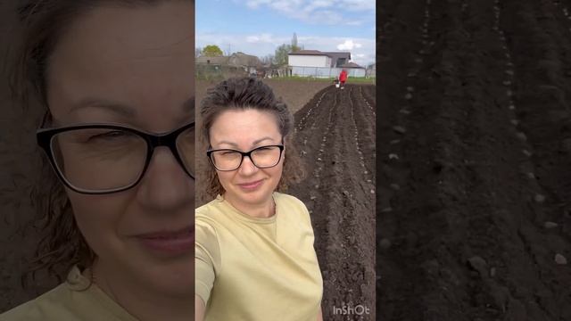 Посадка картофеля мотоблоком Нева МБ-2 #жизньвдеревне #31регион #жизньнаселе смотреть онлайн