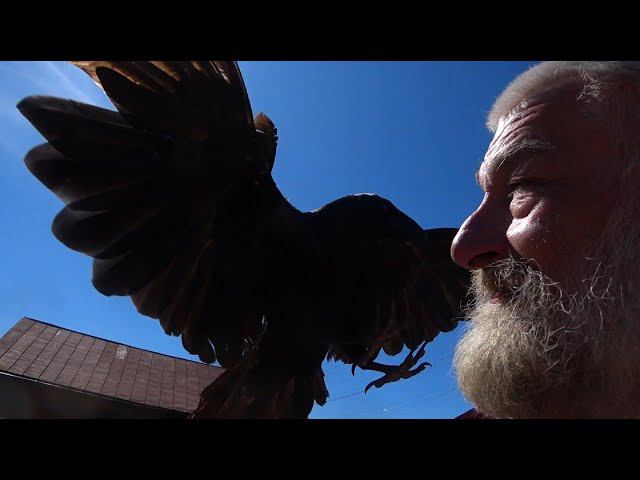 Июльский привет. смотреть онлайн