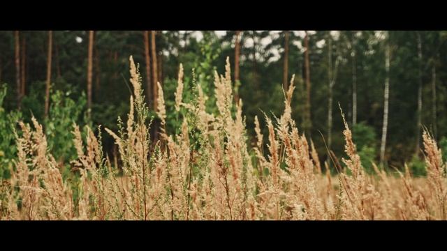 THE BEAST | Short Film | Sony a6400 смотреть онлайн