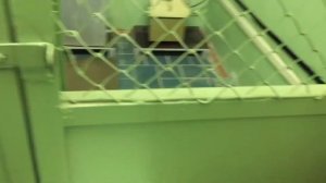 Испытания диэлектрических перчаток