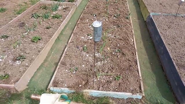 /Дачная хроника / смотреть онлайн