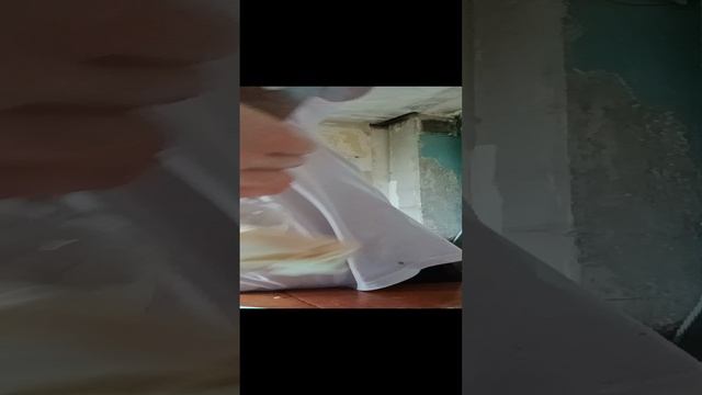 Мистер Бобр